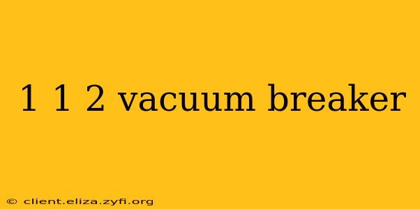 1 1 2 vacuum breaker