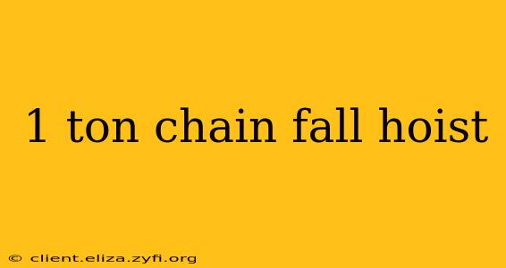 1 ton chain fall hoist