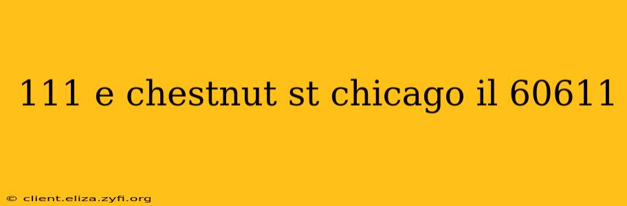 111 e chestnut st chicago il 60611