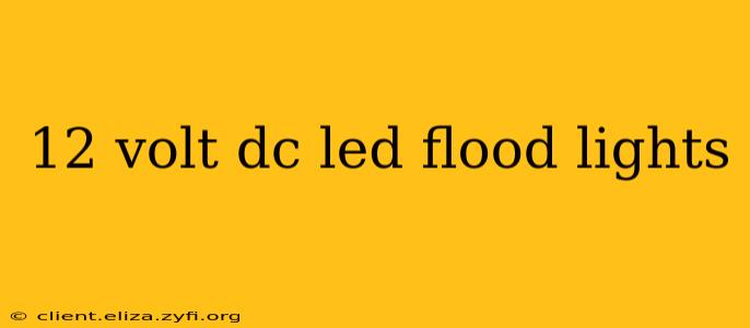 12 volt dc led flood lights