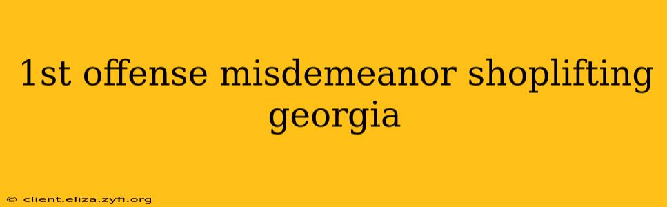 1st offense misdemeanor shoplifting georgia