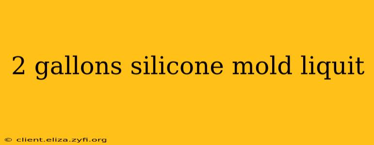 2 gallons silicone mold liquit