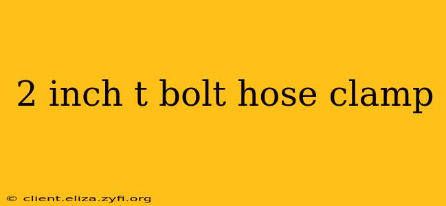 2 inch t bolt hose clamp