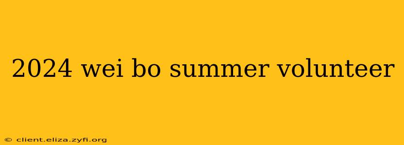 2024 wei bo summer volunteer