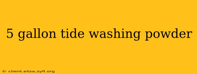 5 gallon tide washing powder