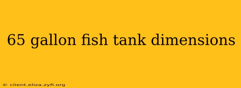 65 gallon fish tank dimensions