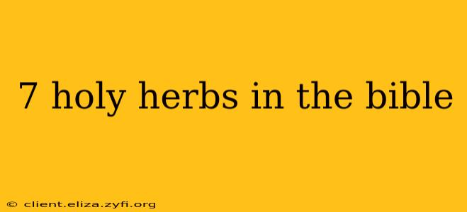 7 holy herbs in the bible