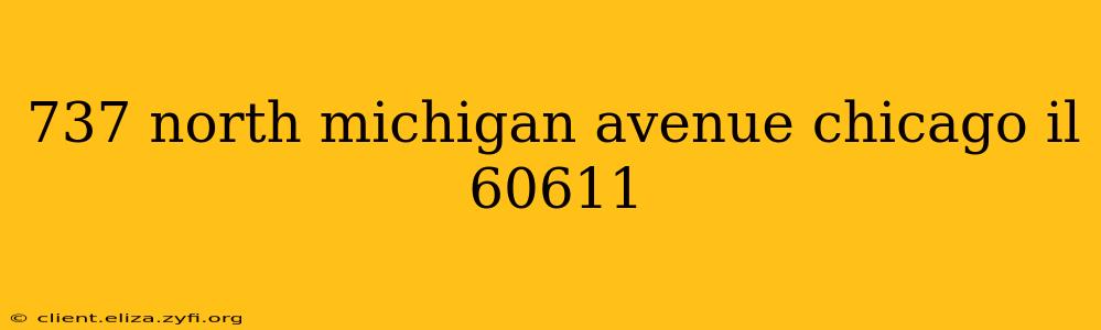 737 north michigan avenue chicago il 60611