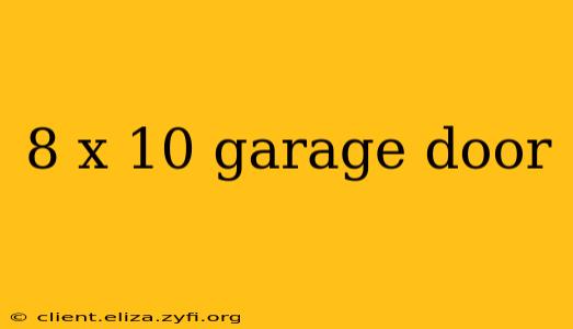8 x 10 garage door