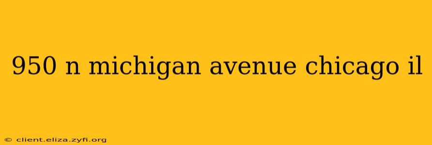 950 n michigan avenue chicago il