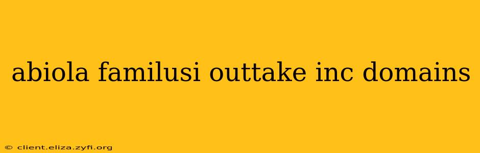 abiola familusi outtake inc domains