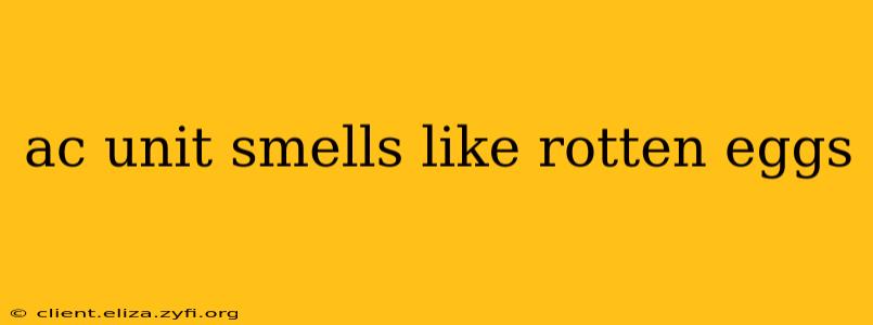 ac unit smells like rotten eggs