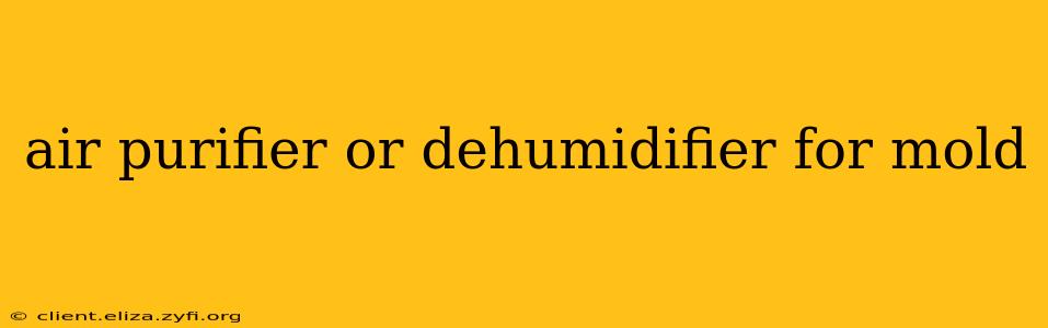 air purifier or dehumidifier for mold