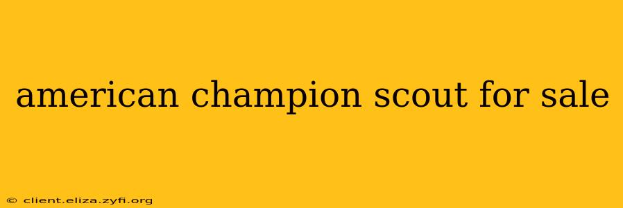 american champion scout for sale