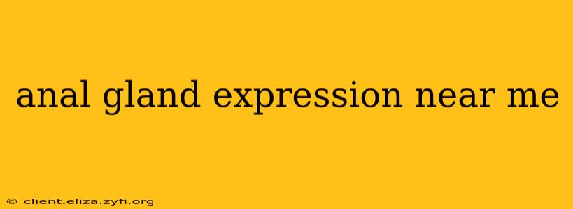 anal gland expression near me