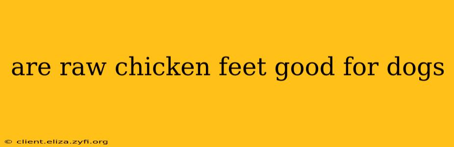 are raw chicken feet good for dogs
