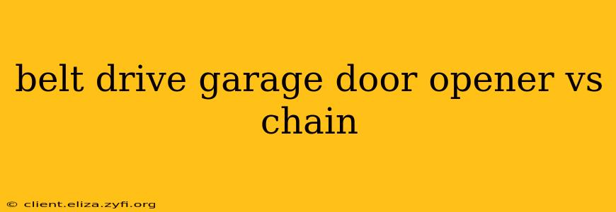 belt drive garage door opener vs chain