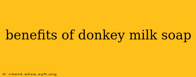 benefits of donkey milk soap