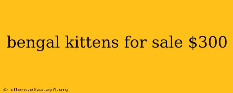 bengal kittens for sale $300