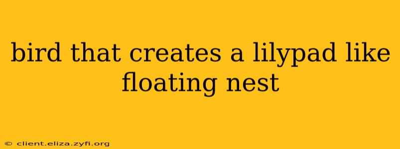 bird that creates a lilypad like floating nest