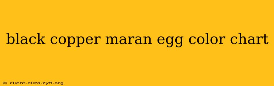 black copper maran egg color chart
