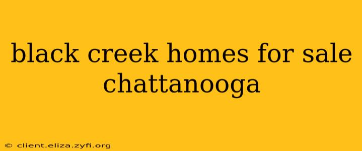 black creek homes for sale chattanooga
