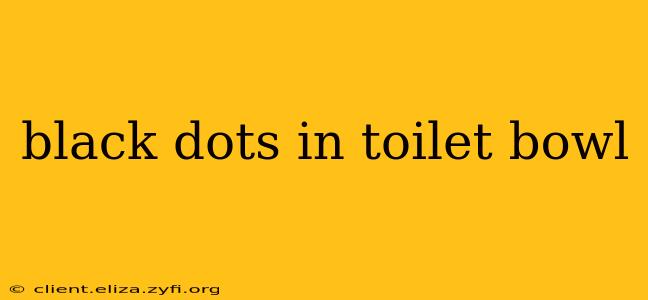 black dots in toilet bowl