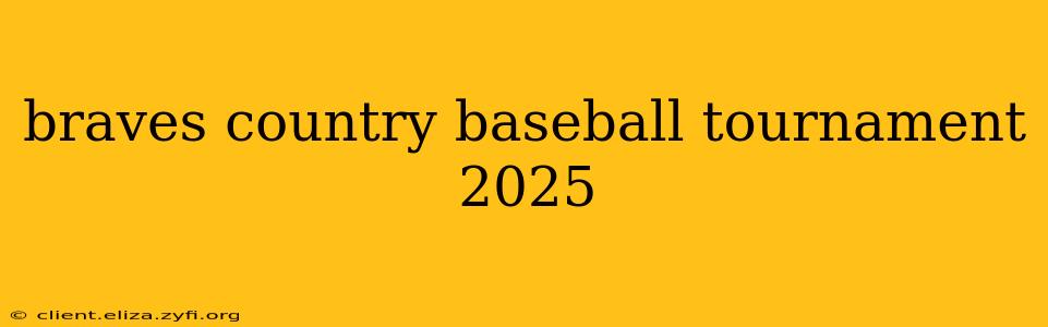 braves country baseball tournament 2025