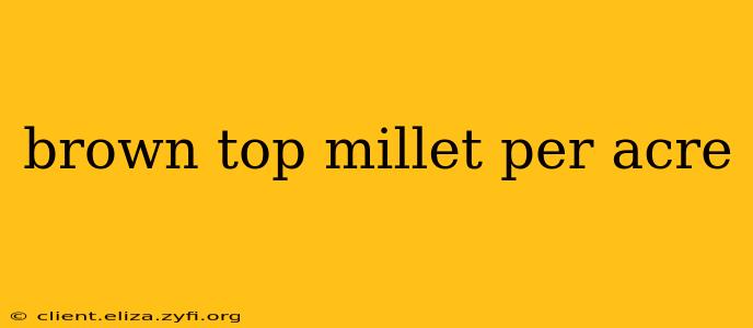 brown top millet per acre