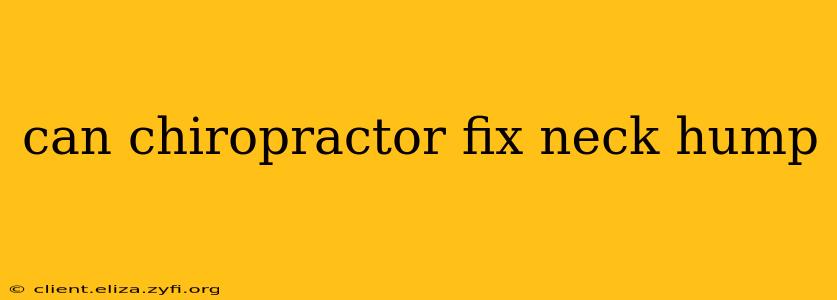 can chiropractor fix neck hump