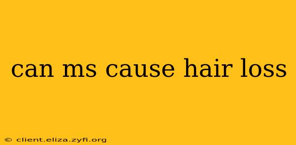 can ms cause hair loss
