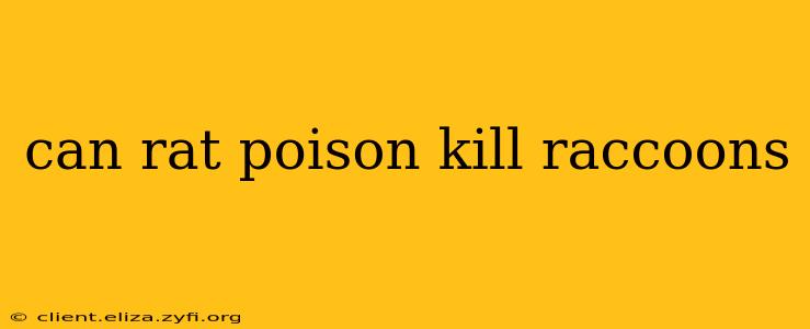 can rat poison kill raccoons