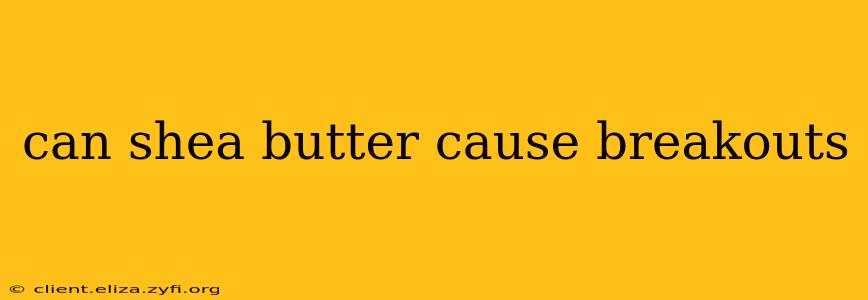 can shea butter cause breakouts