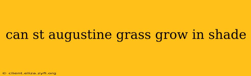 can st augustine grass grow in shade