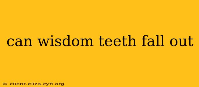 can wisdom teeth fall out