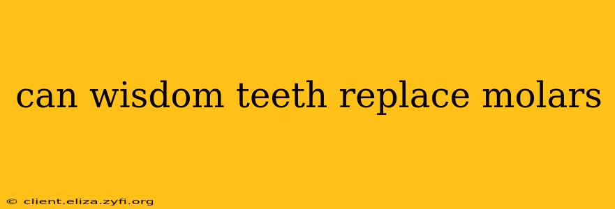 can wisdom teeth replace molars