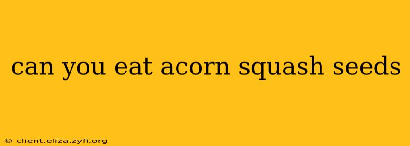 can you eat acorn squash seeds