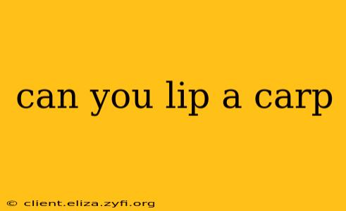 can you lip a carp