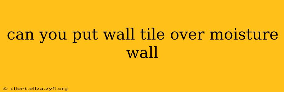 can you put wall tile over moisture wall