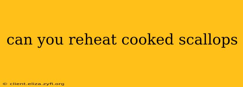 can you reheat cooked scallops