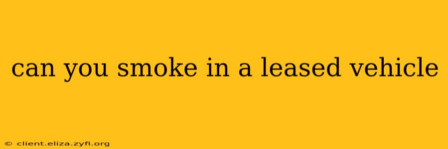 can you smoke in a leased vehicle