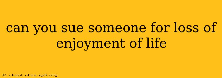 can you sue someone for loss of enjoyment of life