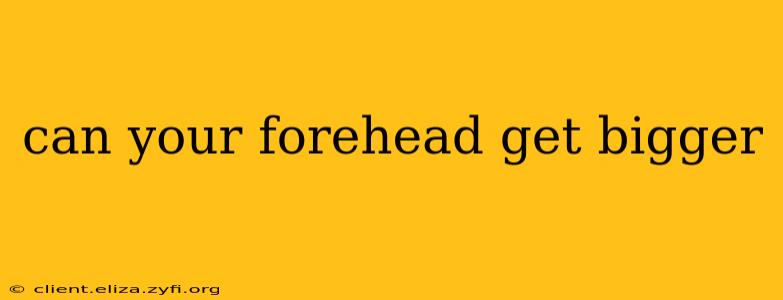 can your forehead get bigger