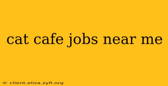 cat cafe jobs near me