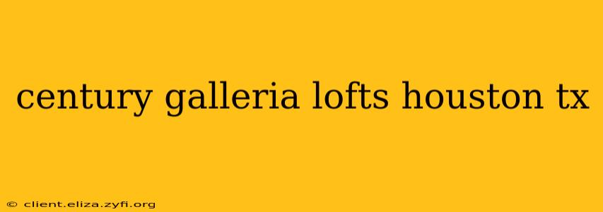 century galleria lofts houston tx