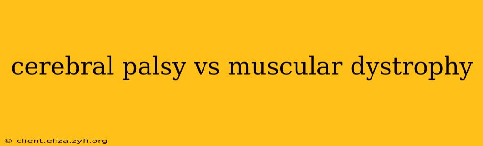 cerebral palsy vs muscular dystrophy