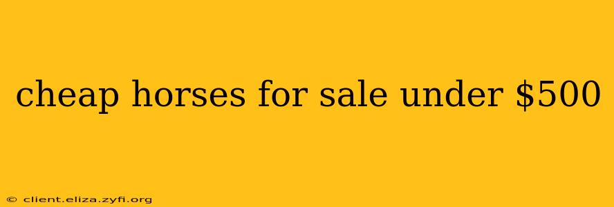 cheap horses for sale under $500