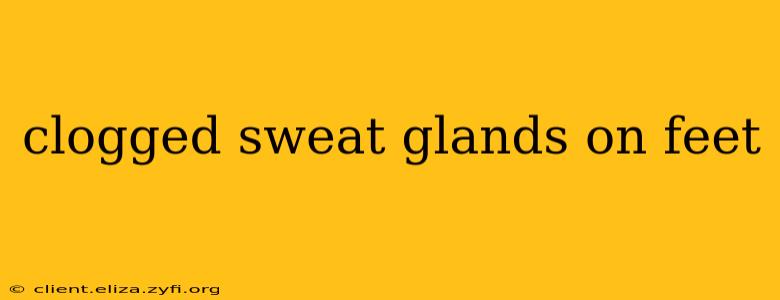 clogged sweat glands on feet