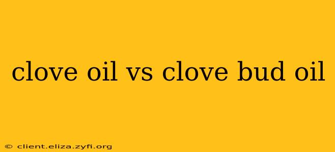 clove oil vs clove bud oil