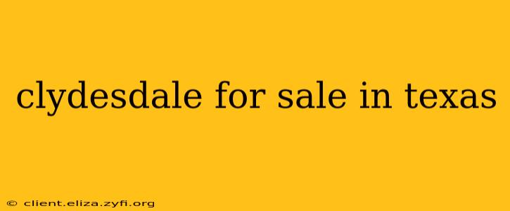 clydesdale for sale in texas